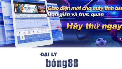 Bong888.lol - Điểm đến uy tín cho dân chơi cá cược trực tuyến